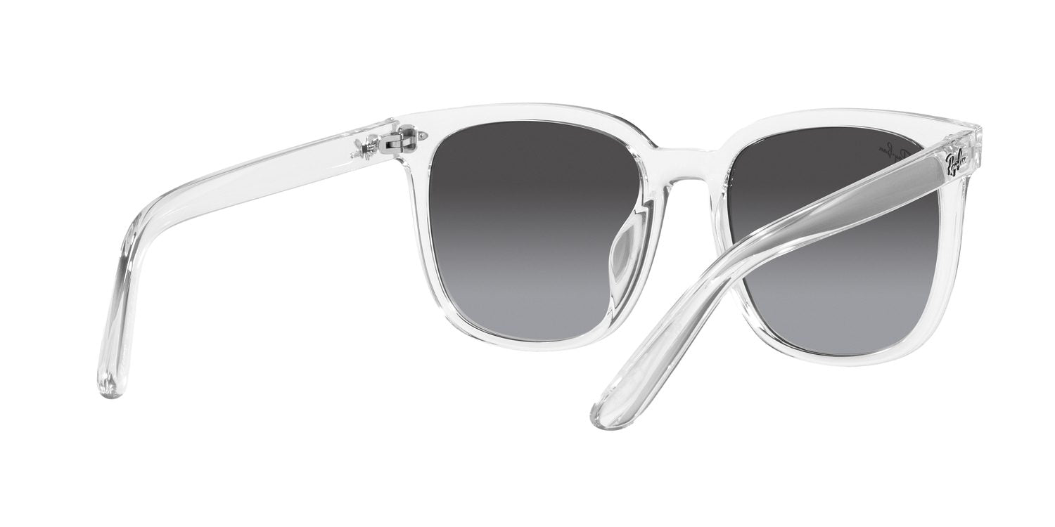 Ray-Ban | 0RB4401D