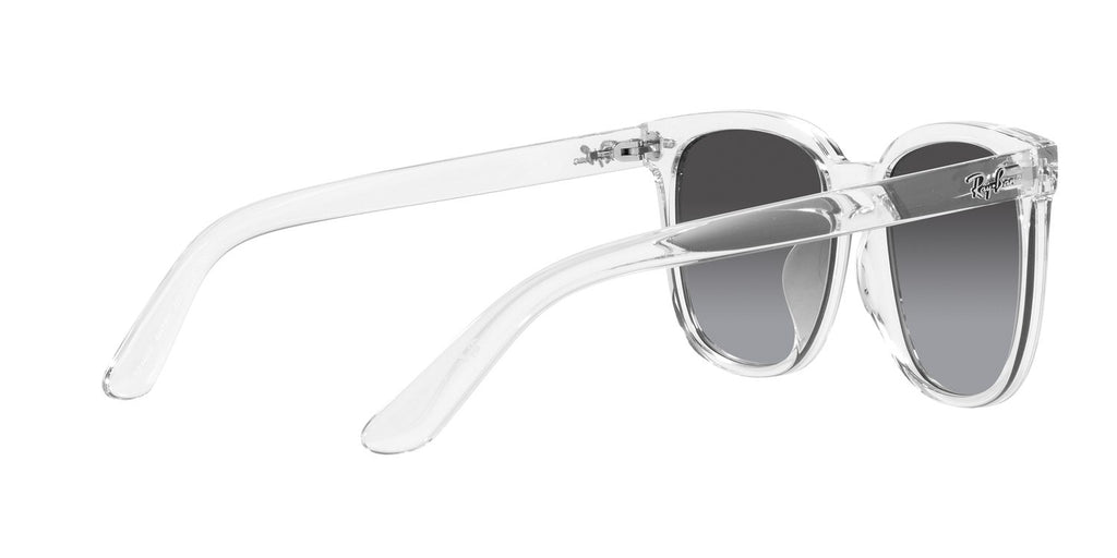 Ray-Ban | 0RB4401D