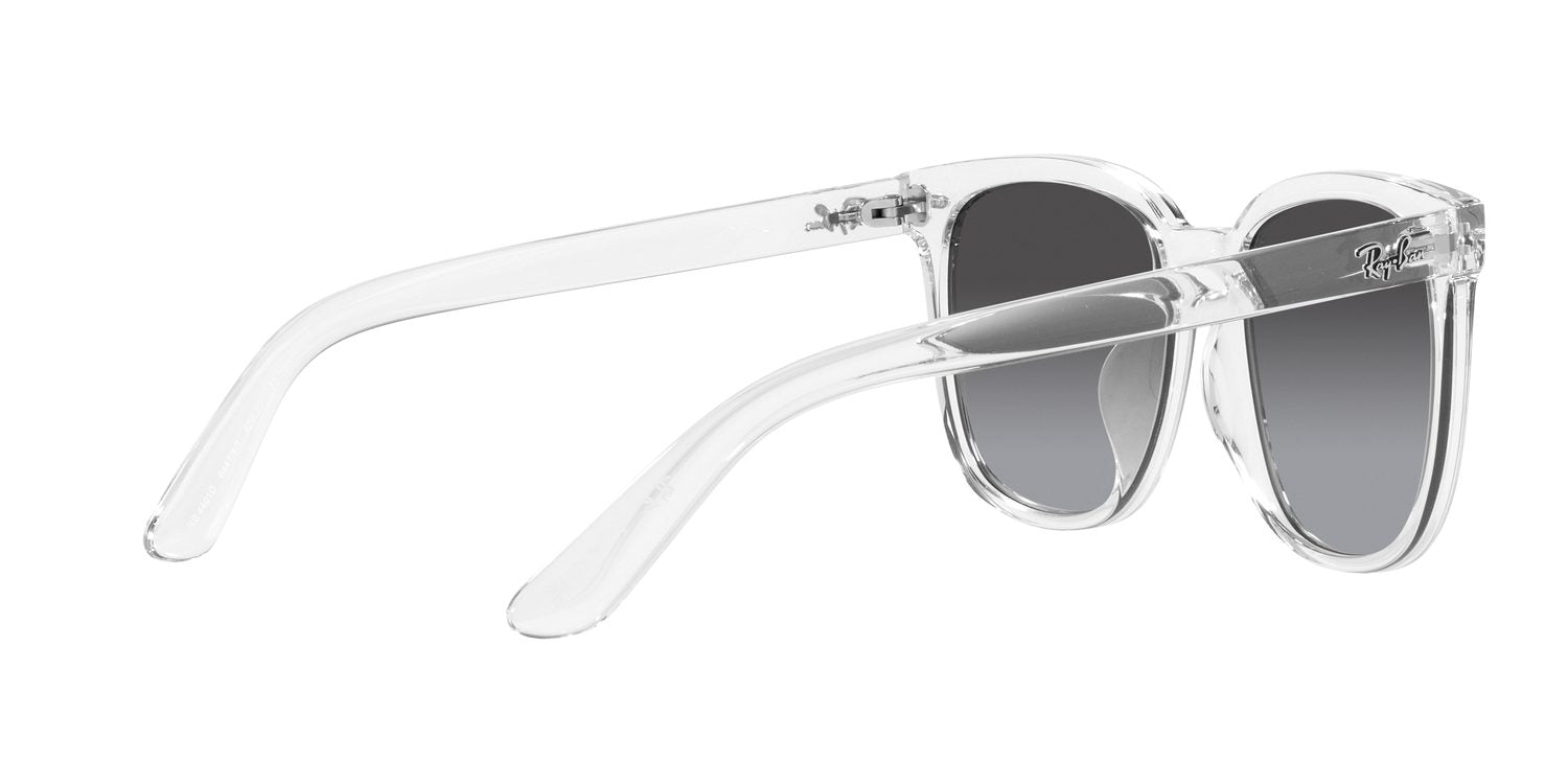 Ray-Ban | 0RB4401D