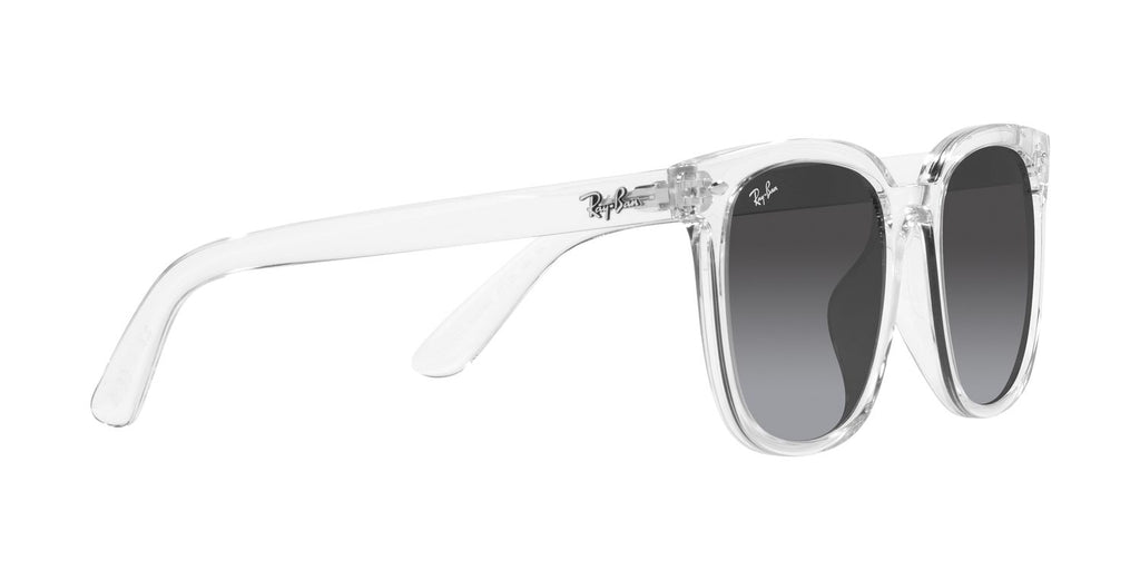 Ray-Ban | 0RB4401D