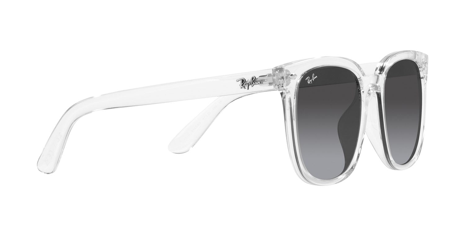 Ray-Ban | 0RB4401D