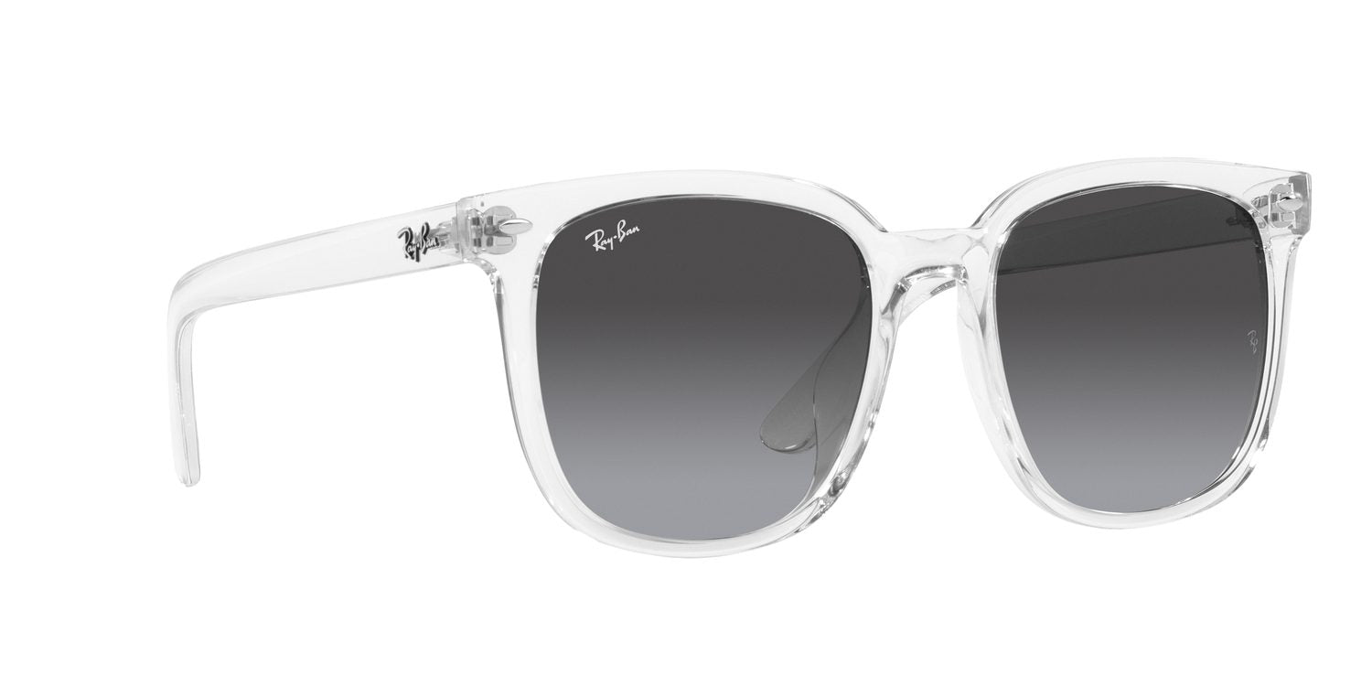 Ray-Ban | 0RB4401D