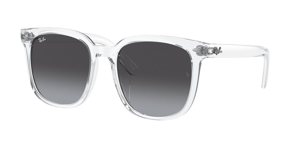 Ray-Ban | 0RB4401D