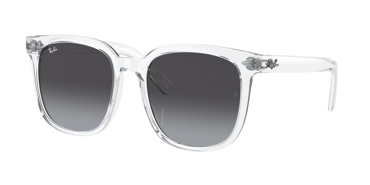 Ray-Ban | 0RB4401D