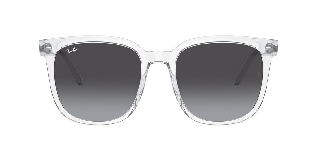 Ray-Ban | 0RB4401D