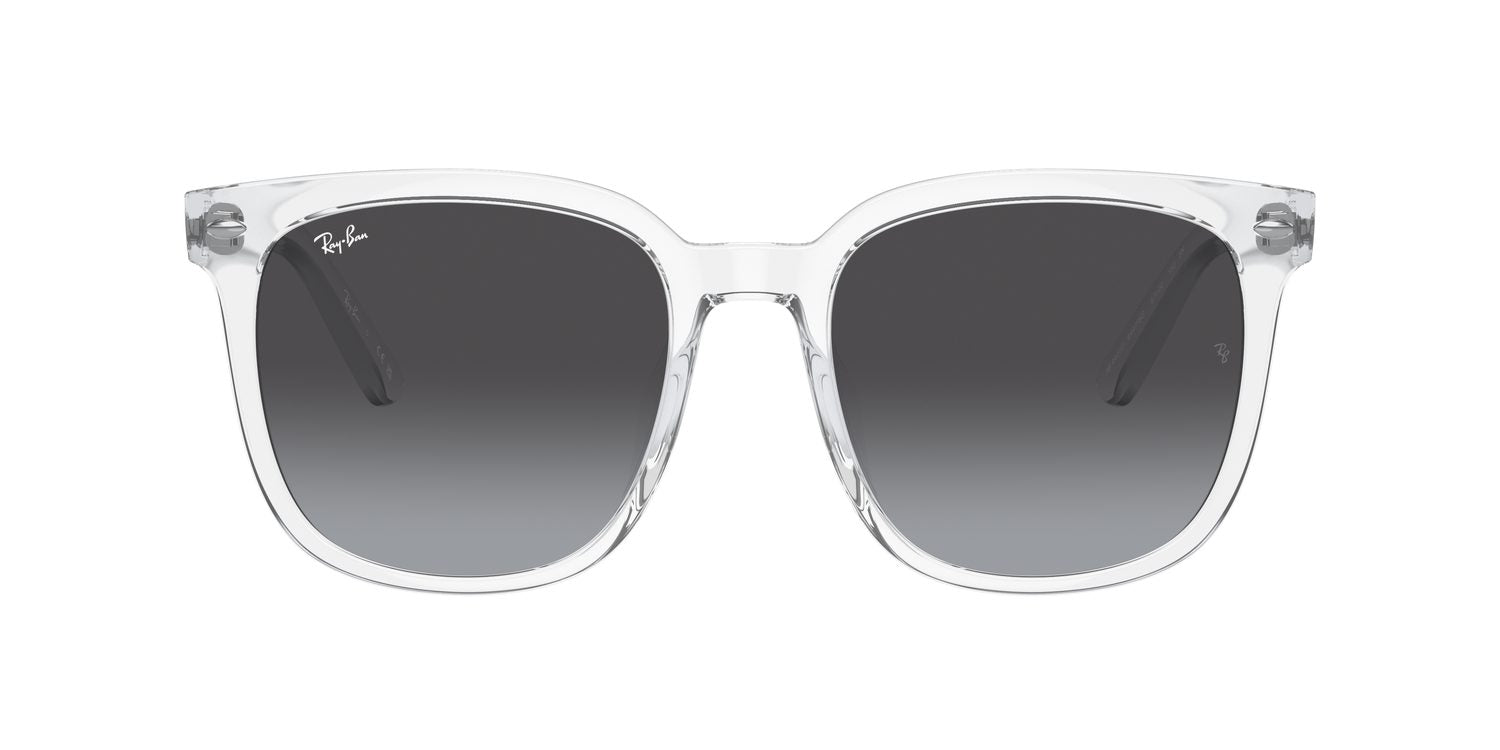 Ray-Ban | 0RB4401D
