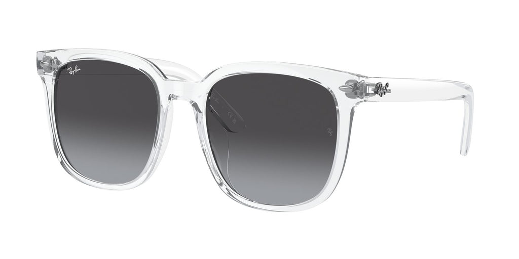Ray-Ban | 0RB4401D