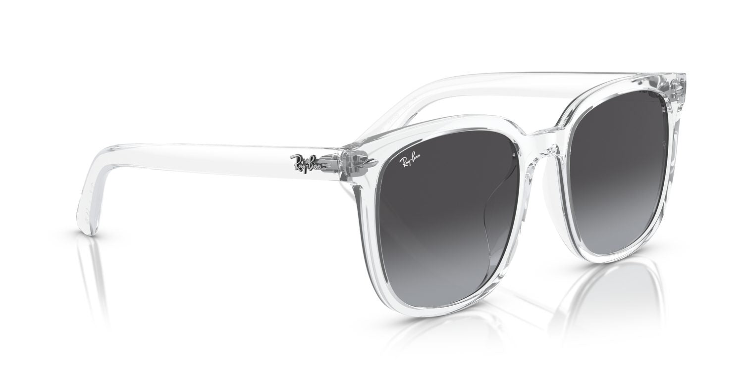 Ray-Ban | 0RB4401D