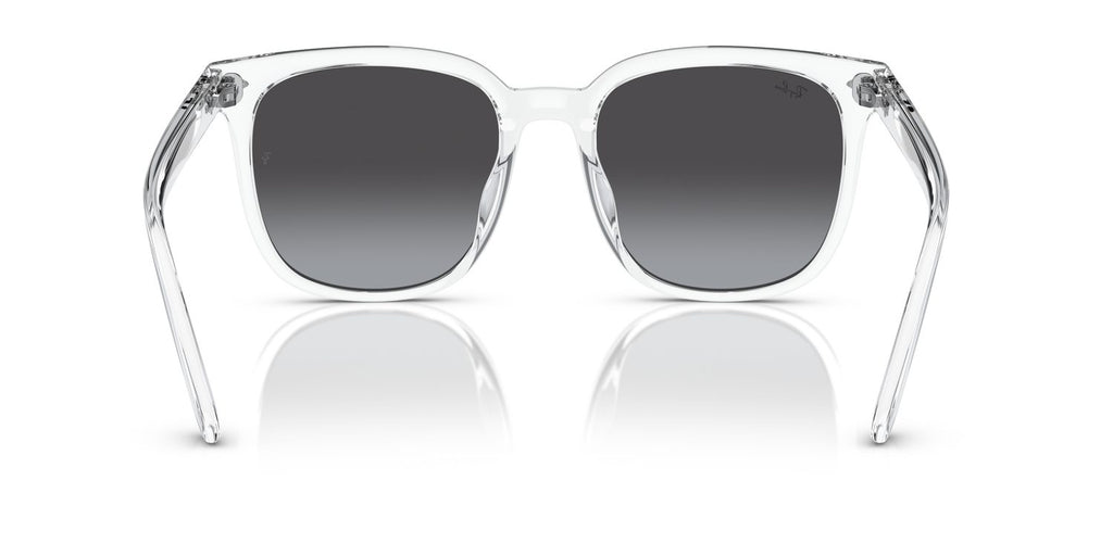 Ray-Ban | 0RB4401D