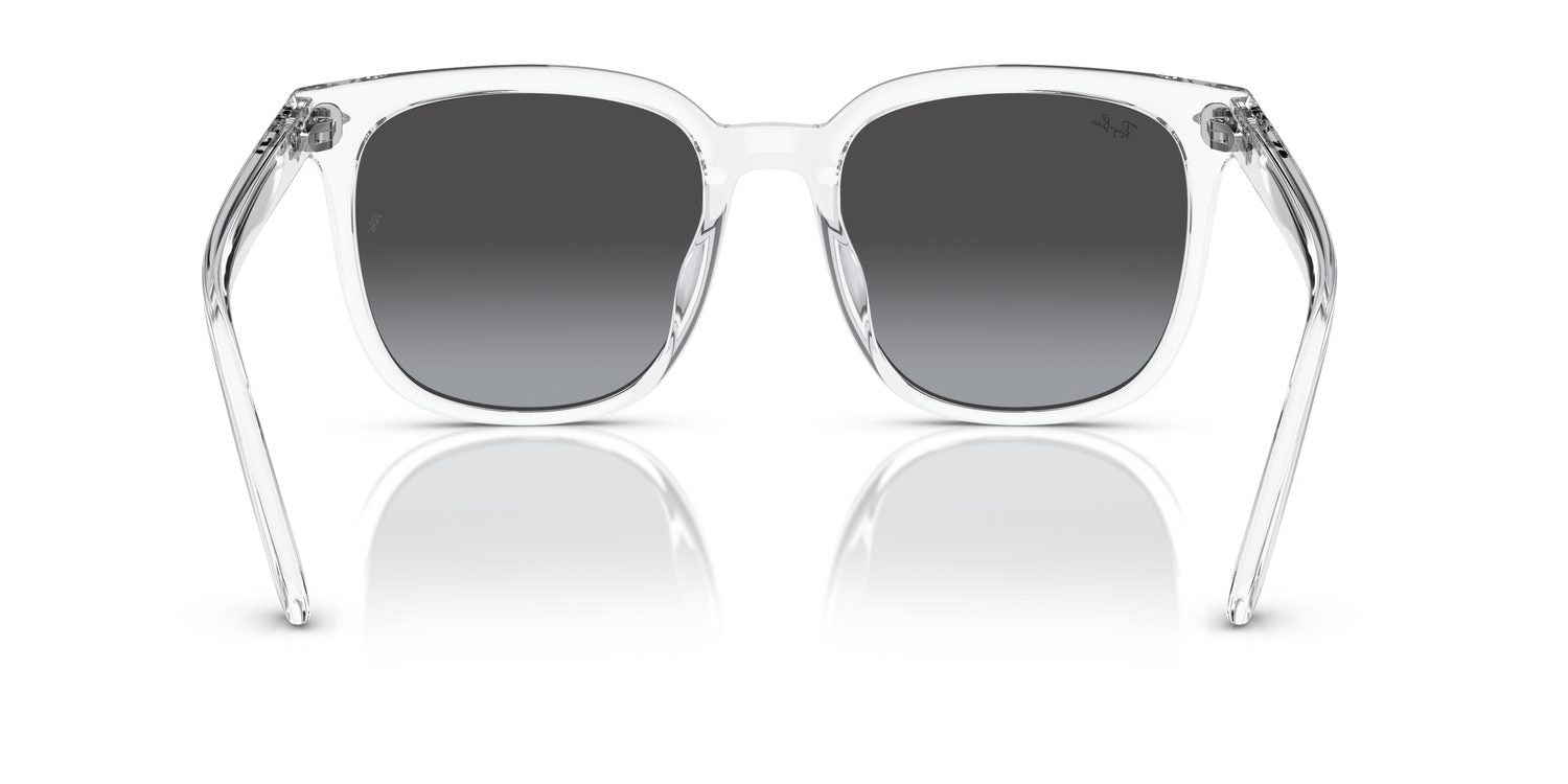 Ray-Ban | 0RB4401D
