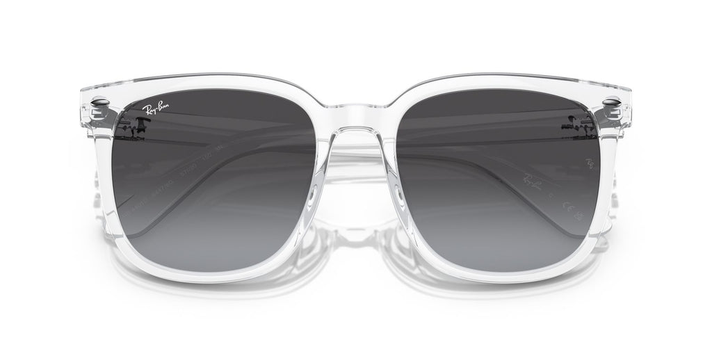 Ray-Ban | 0RB4401D