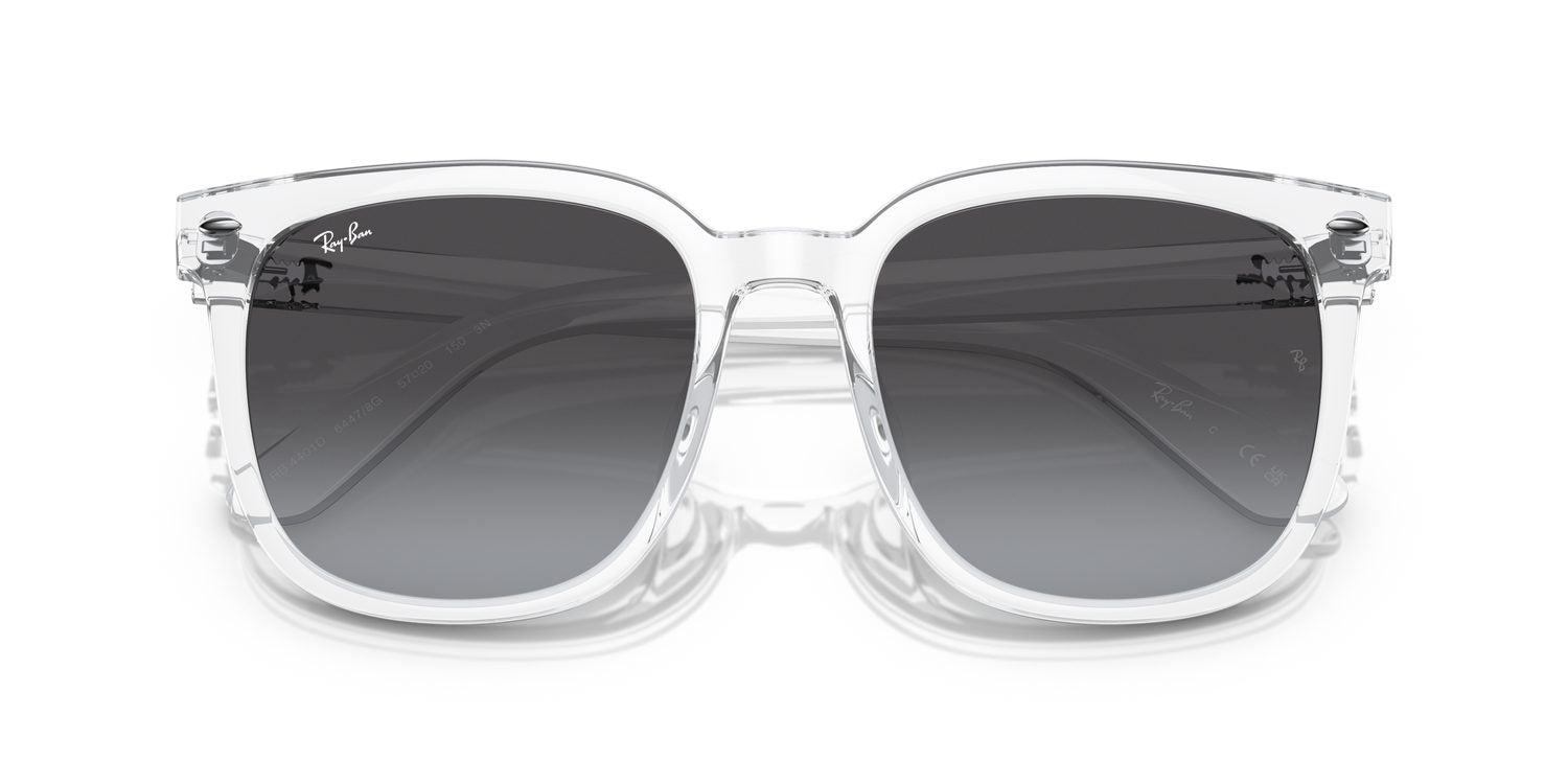 Ray-Ban | 0RB4401D