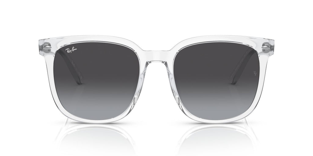 Ray-Ban | 0RB4401D