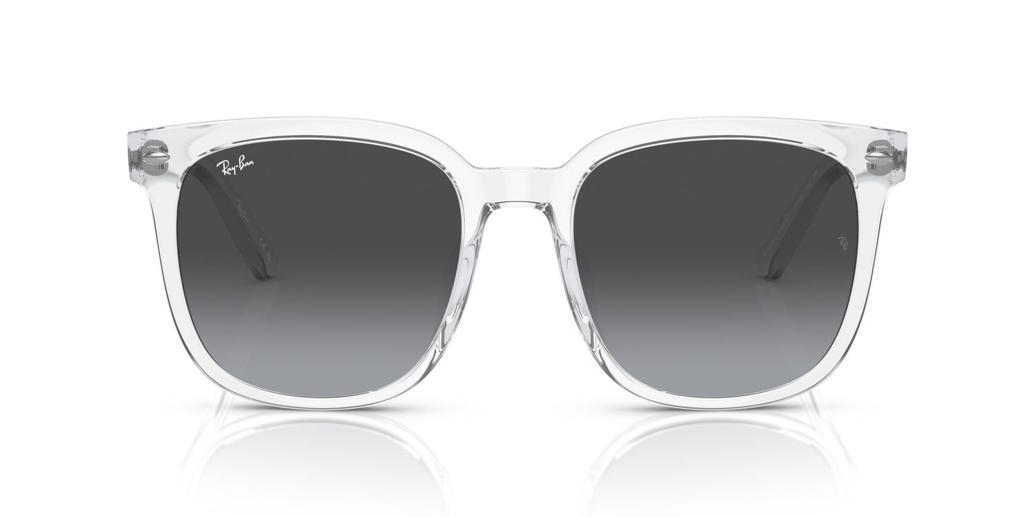 Ray-Ban | 0RB4401D