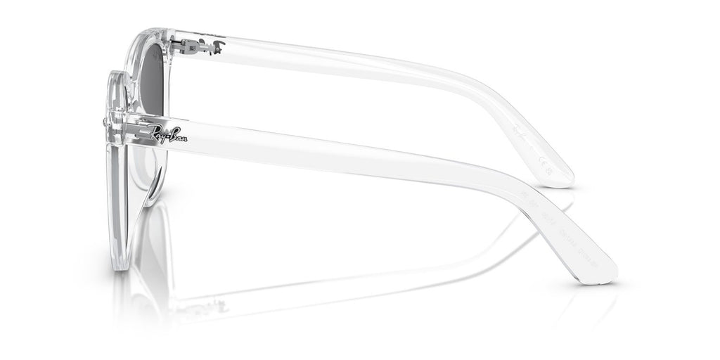Ray-Ban | 0RB4401D