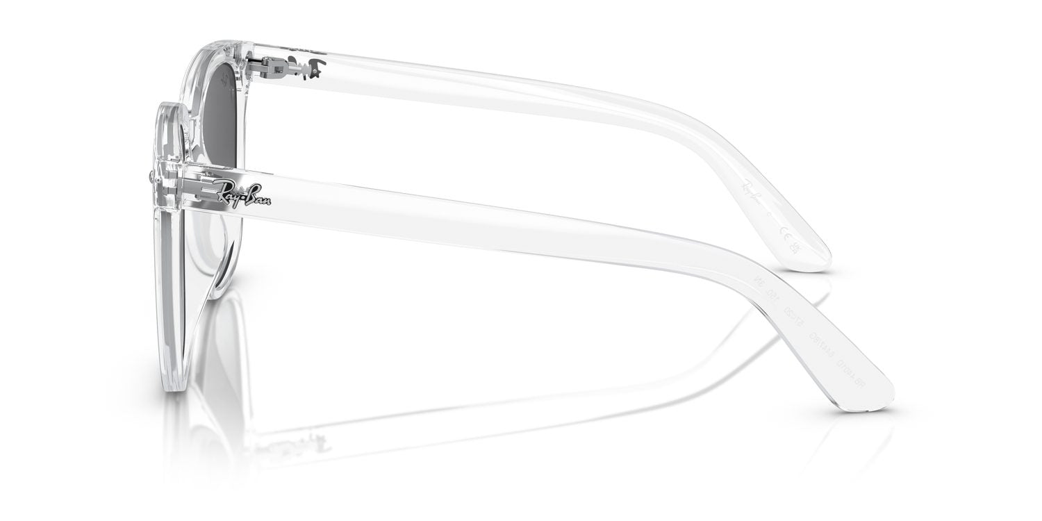 Ray-Ban | 0RB4401D