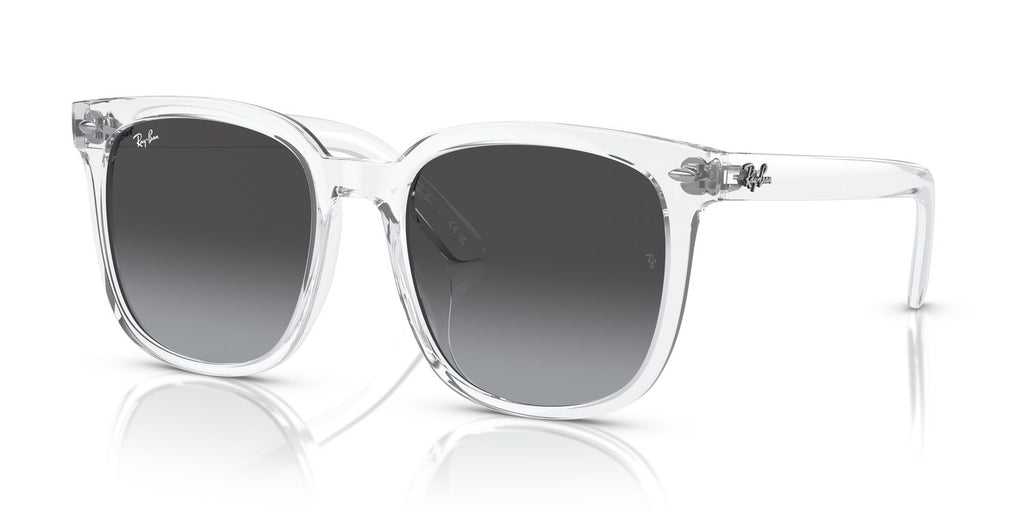 Ray-Ban | 0RB4401D