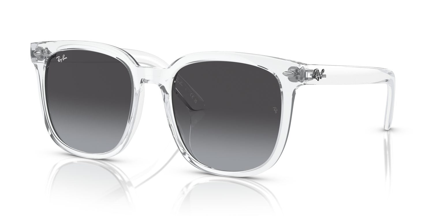 Ray-Ban | 0RB4401D