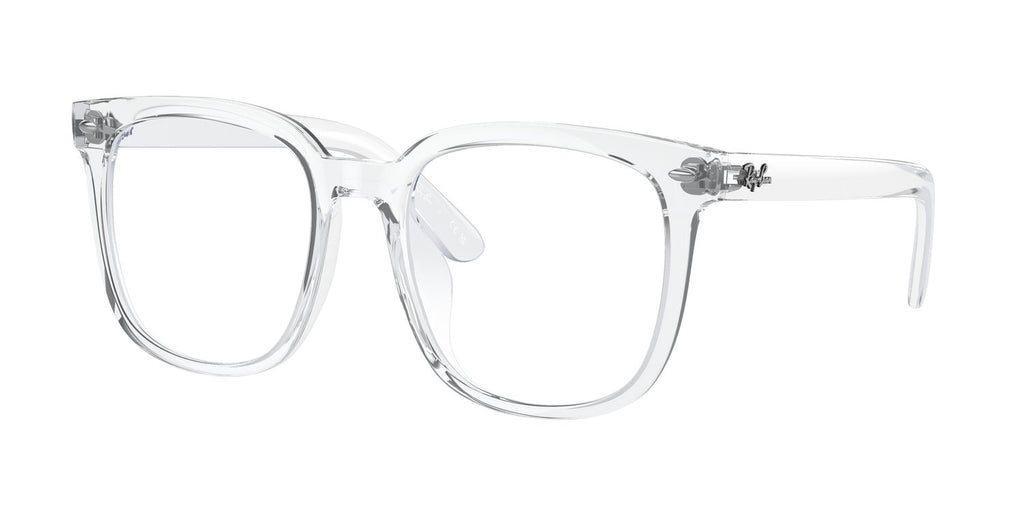 Ray-Ban | 0RB4401D