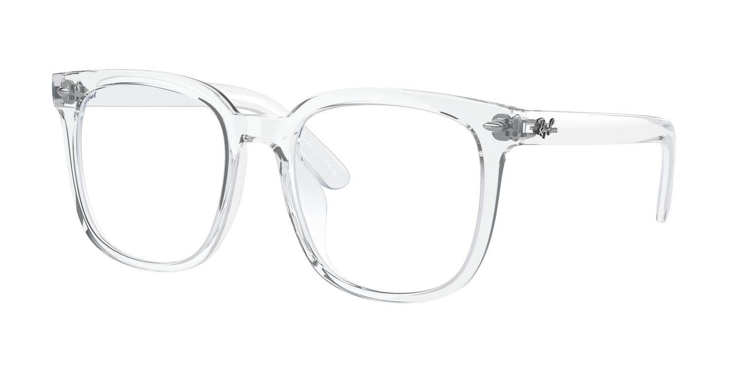 Ray-Ban | 0RB4401D