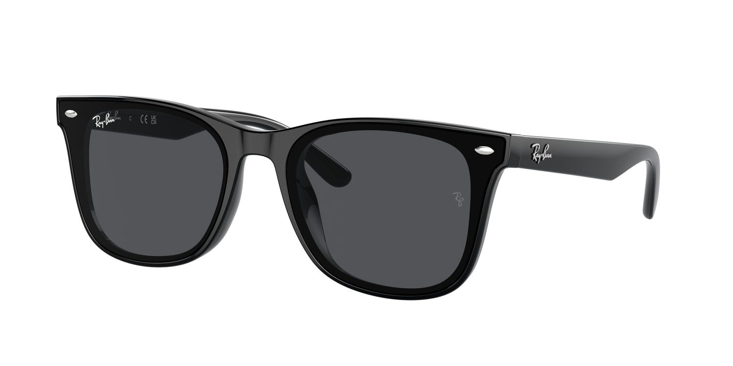 Ray-Ban | 0RB4420