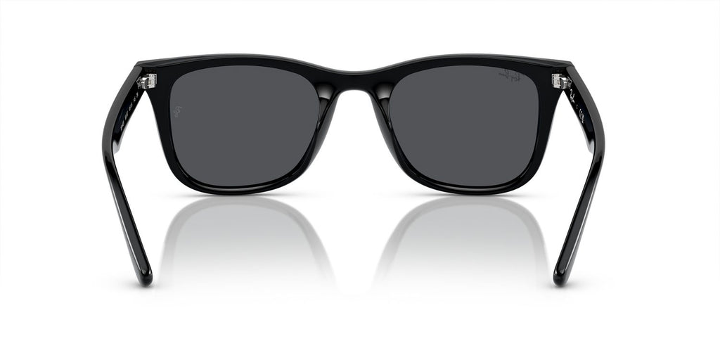 Ray-Ban | 0RB4420