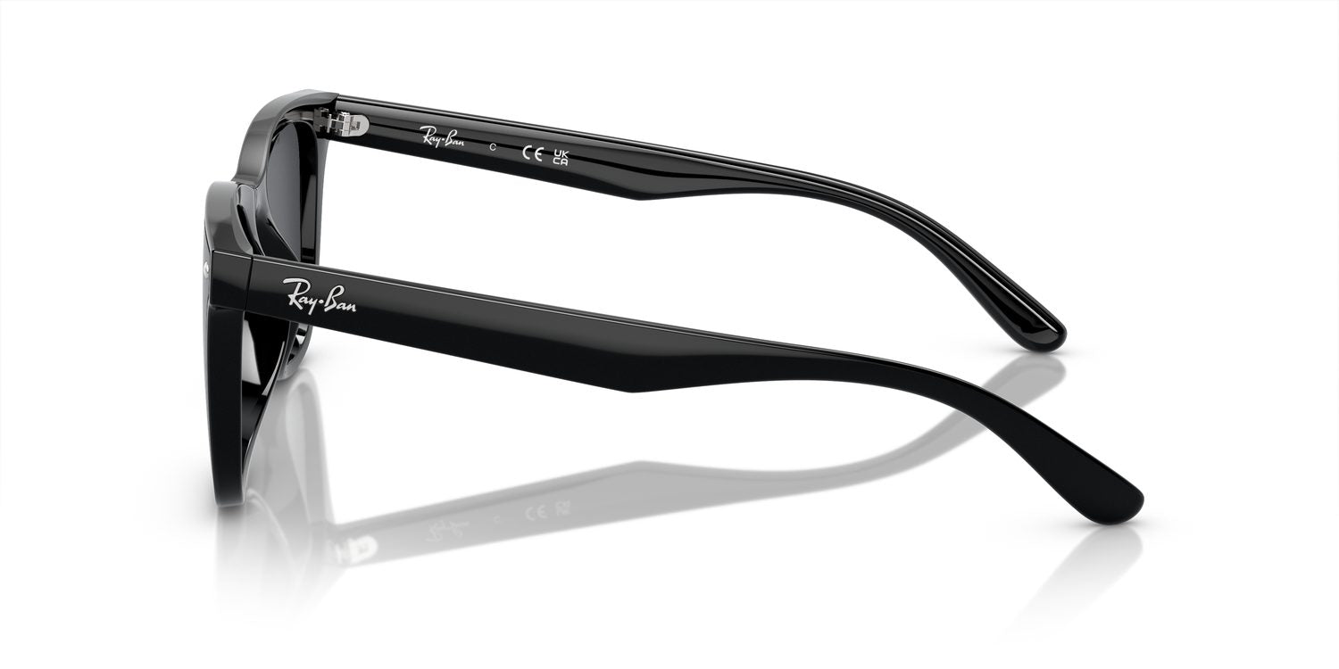 Ray-Ban | 0RB4420