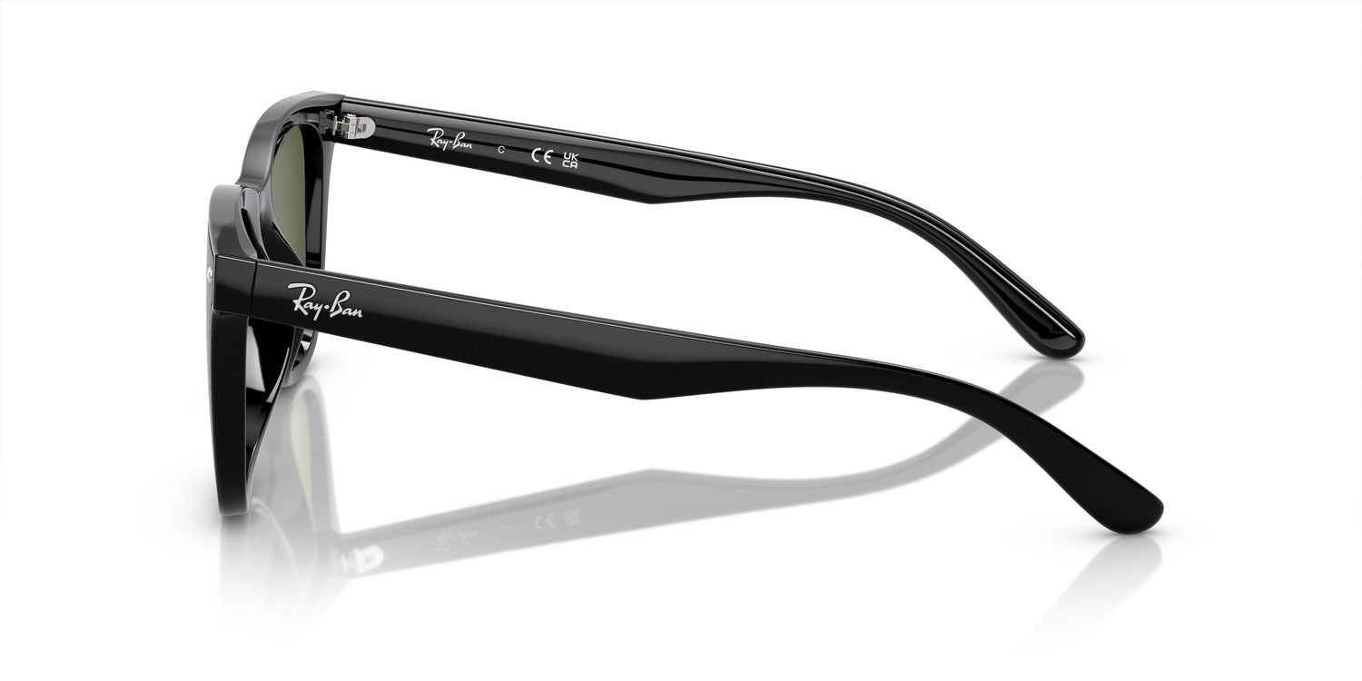 Ray-Ban | 0RB4420