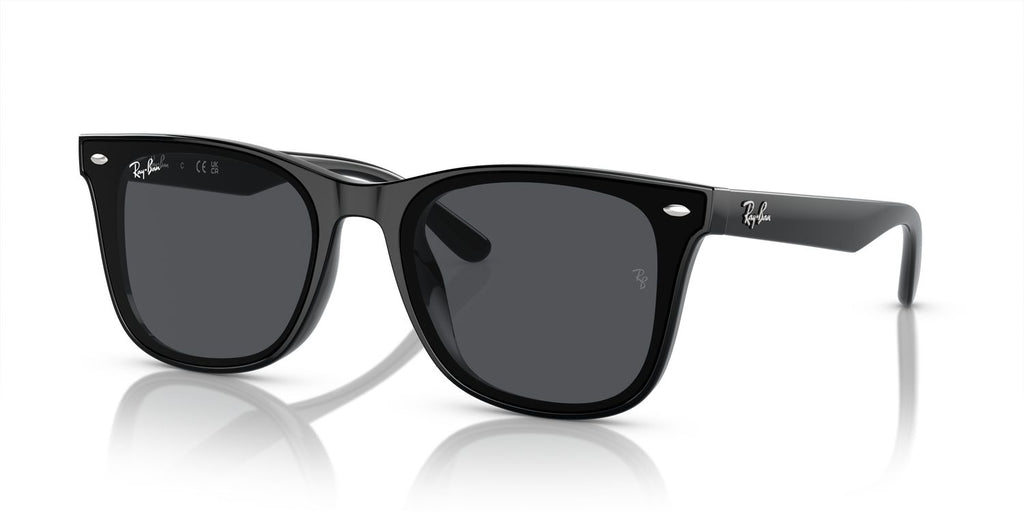 Ray-Ban | 0RB4420