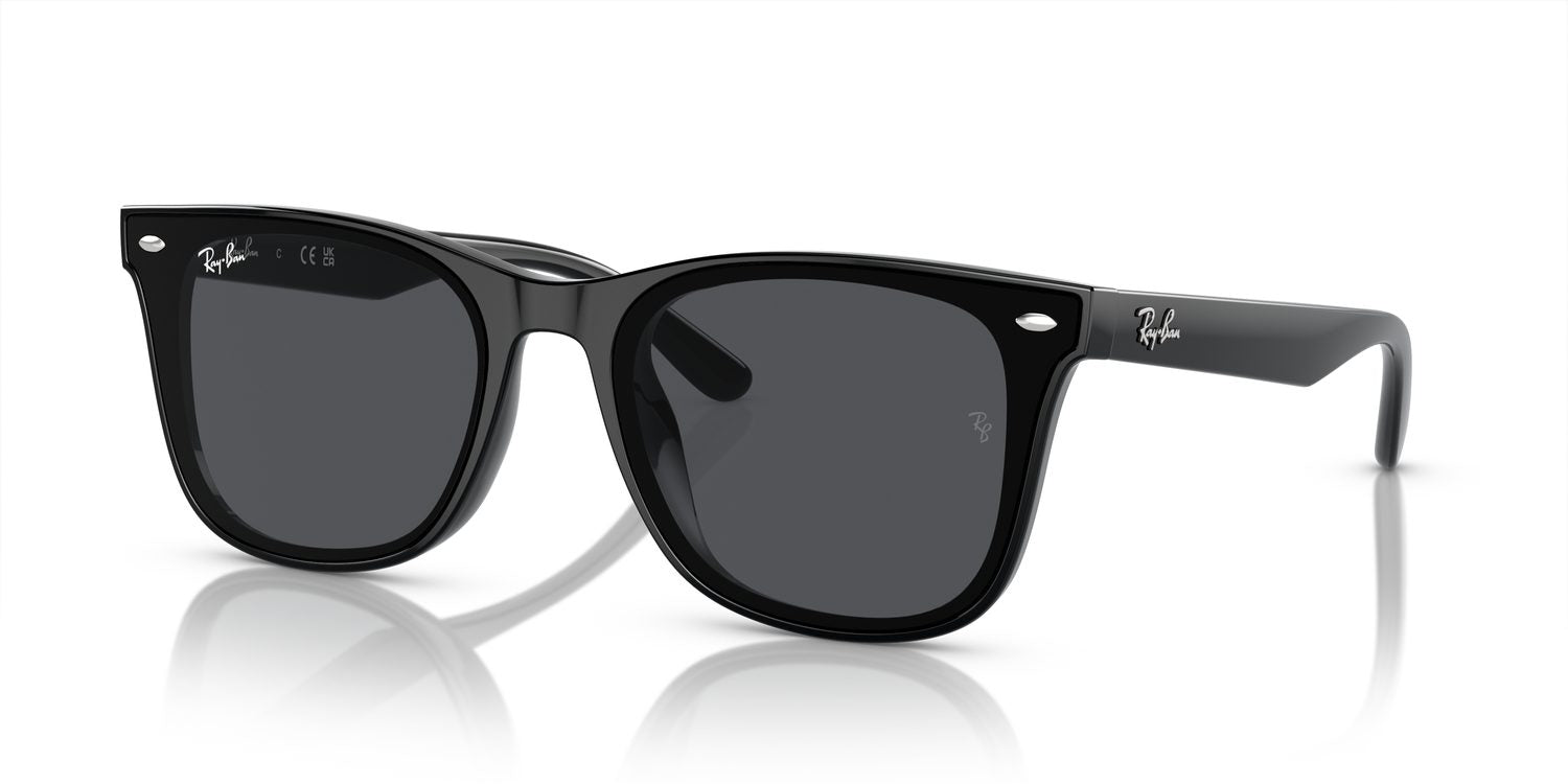 Ray-Ban | 0RB4420