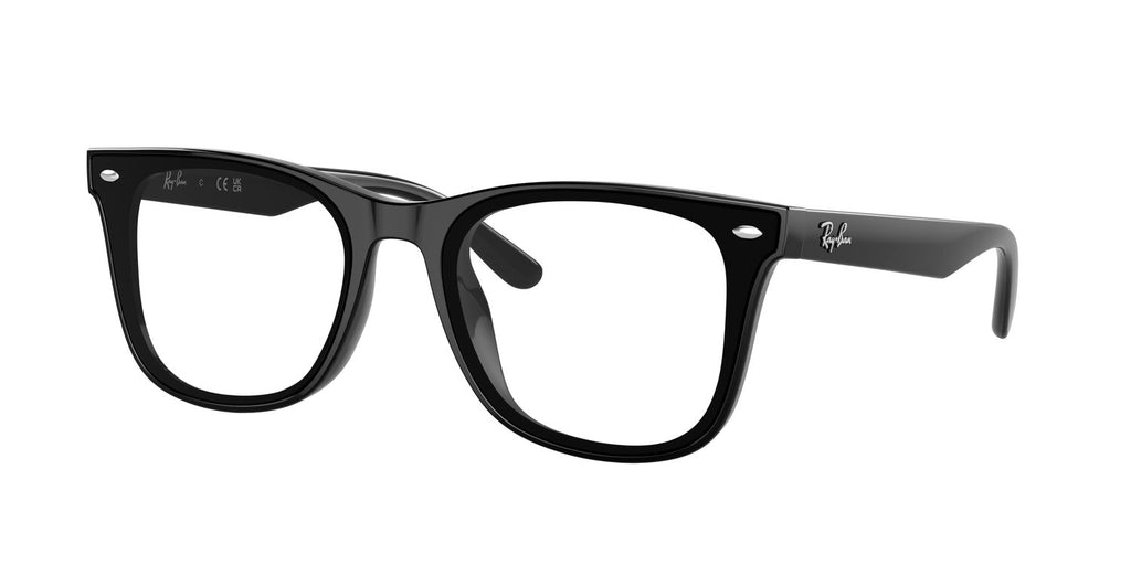 Ray-Ban | 0RB4420