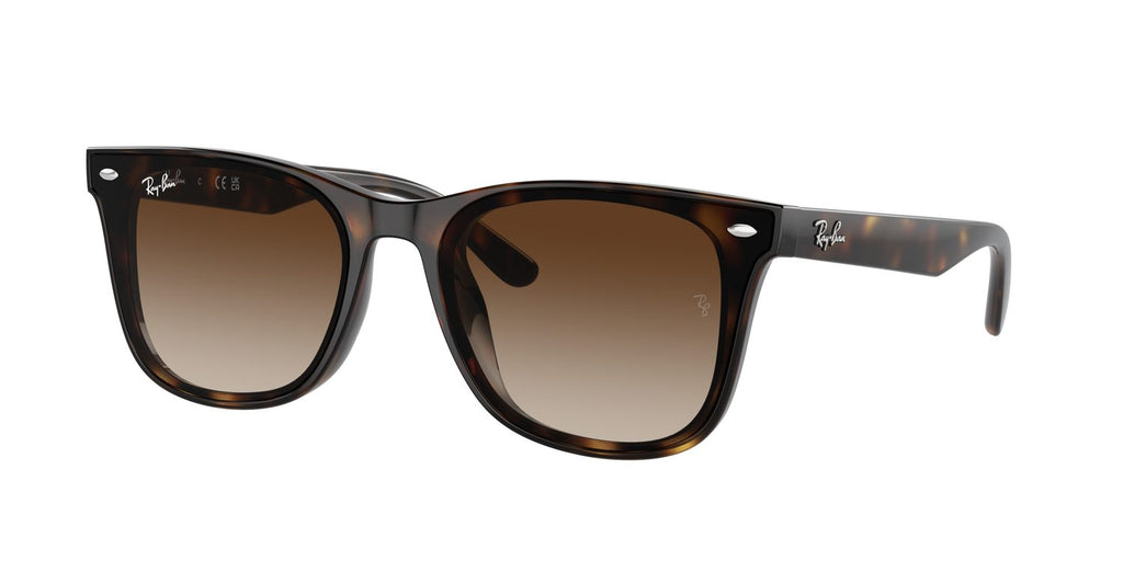 Ray-Ban | 0RB4420