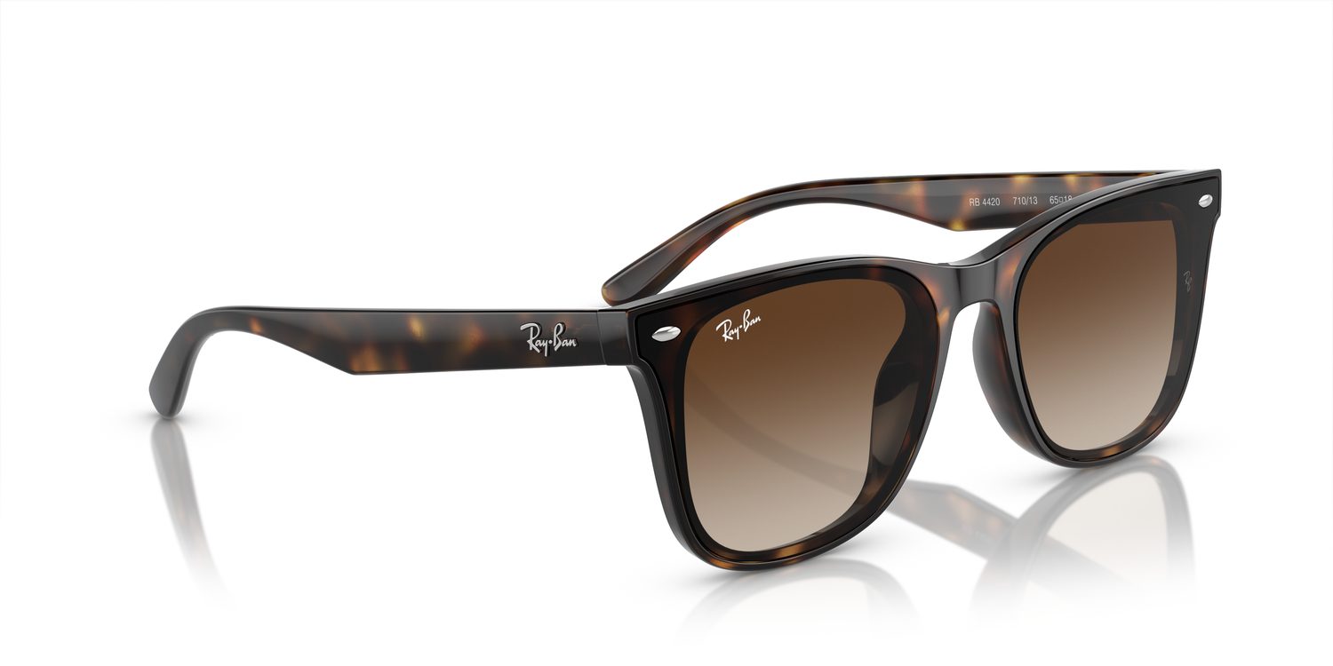 Ray-Ban | 0RB4420