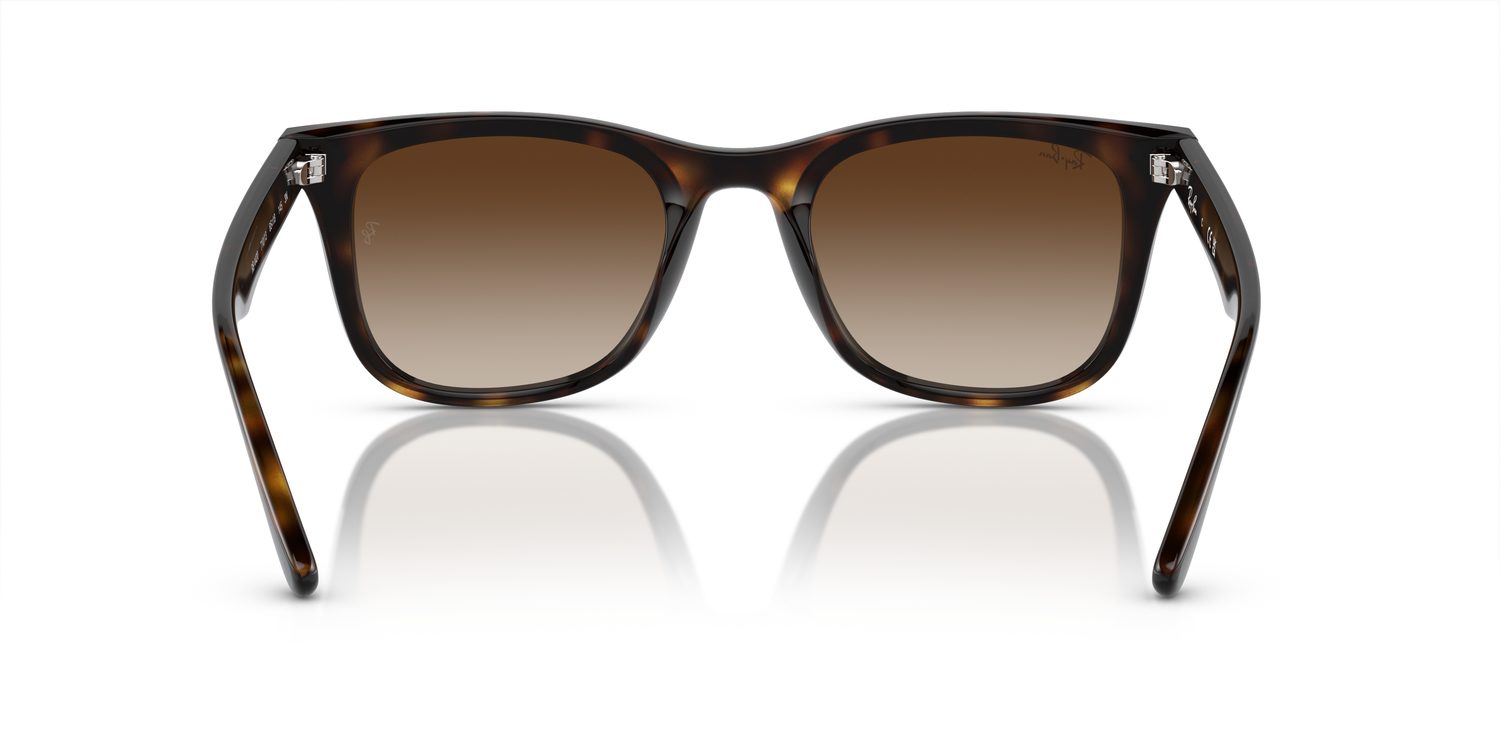 Ray-Ban | 0RB4420
