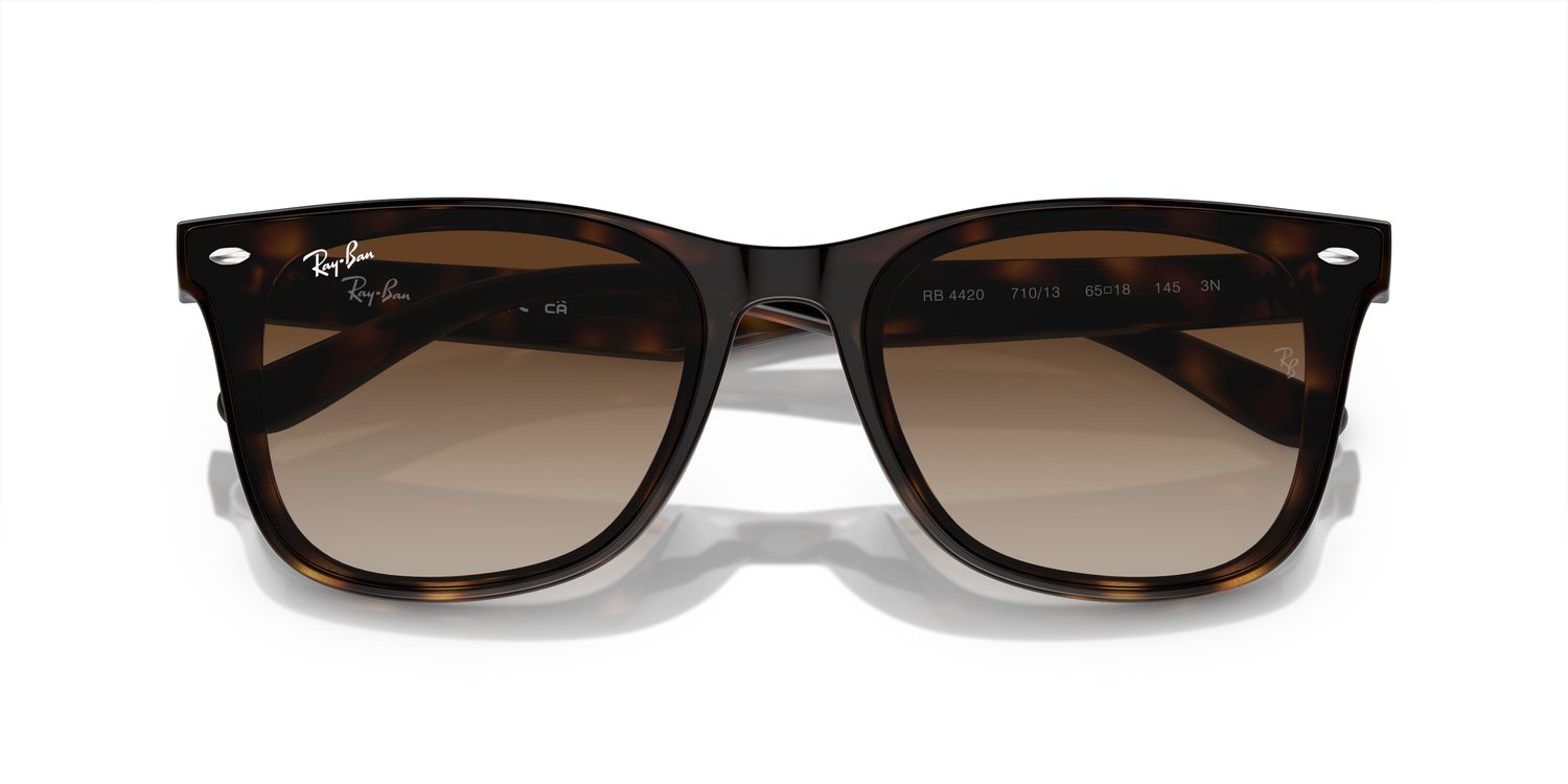 Ray-Ban | 0RB4420