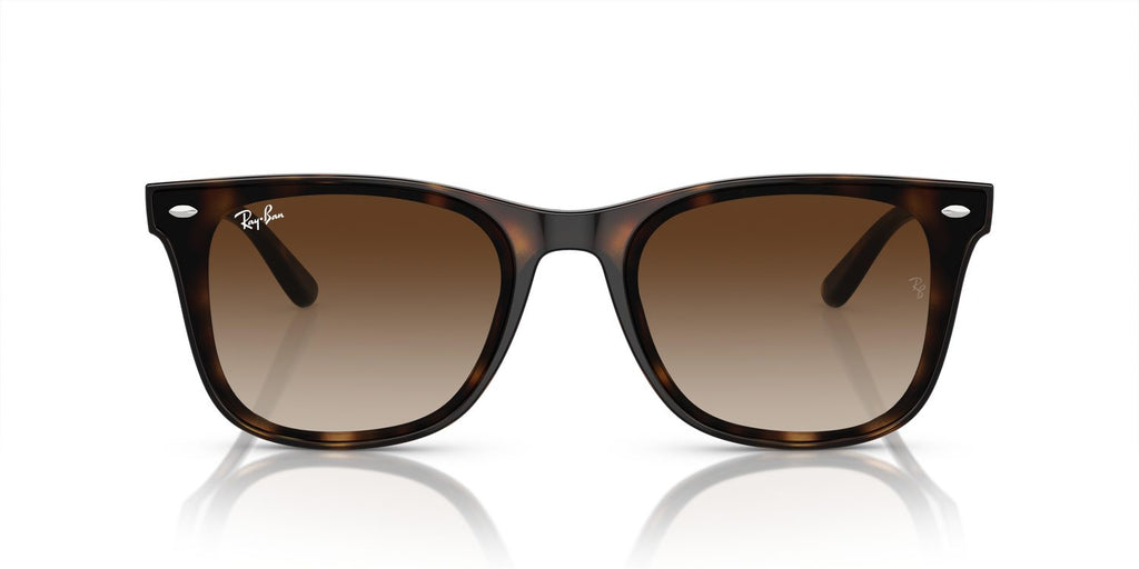 Ray-Ban | 0RB4420