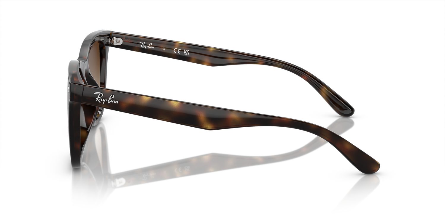 Ray-Ban | 0RB4420
