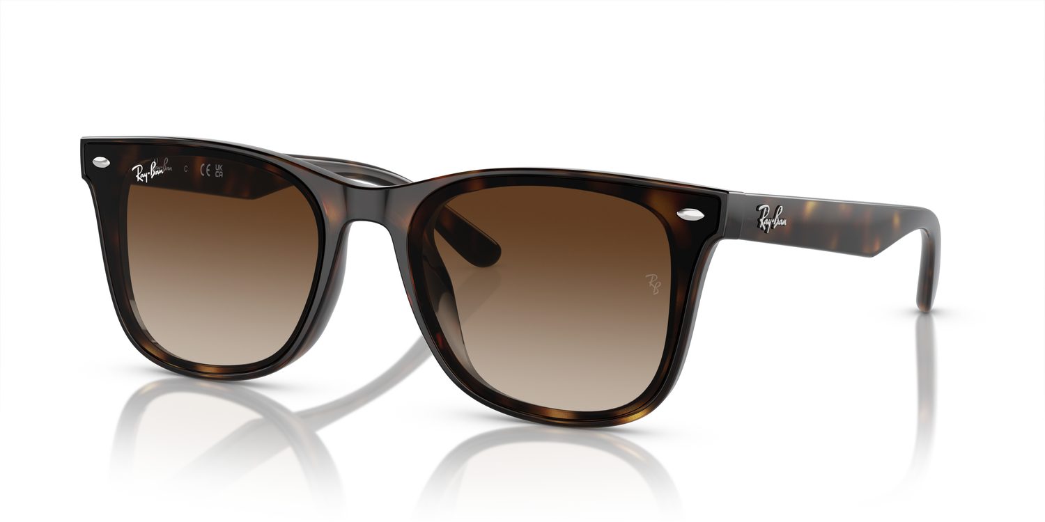Ray-Ban | 0RB4420