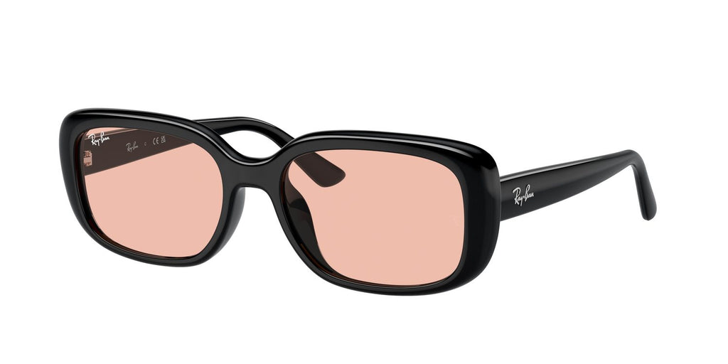 Ray-Ban | 0RB4421D