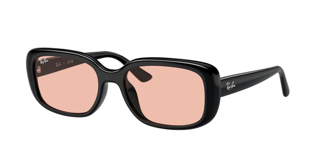 Ray-Ban | 0RB4421D