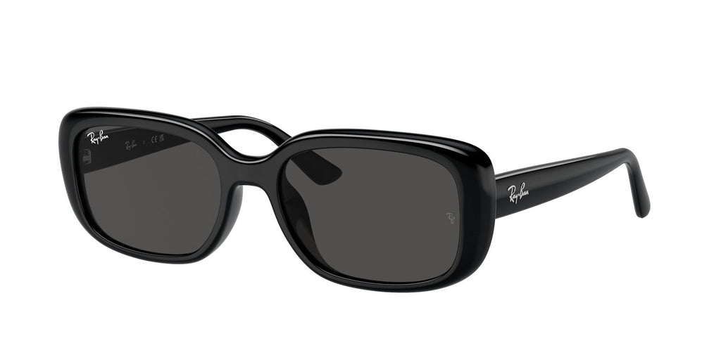 Ray-Ban | 0RB4421D