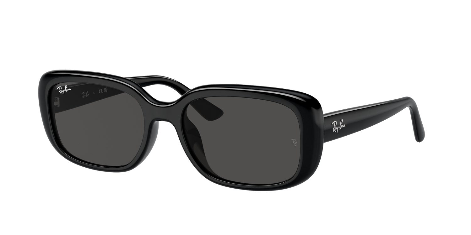 Ray-Ban | 0RB4421D