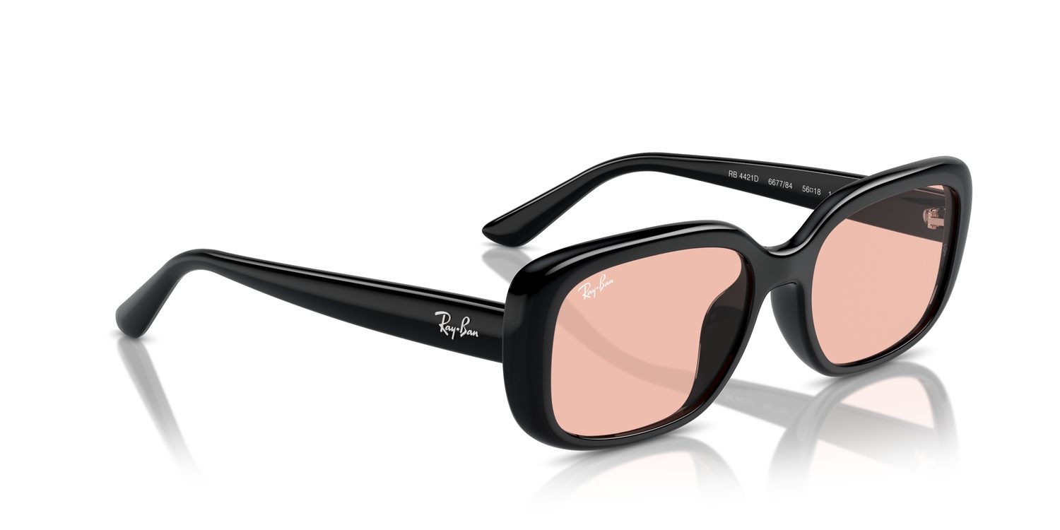 Ray-Ban | 0RB4421D