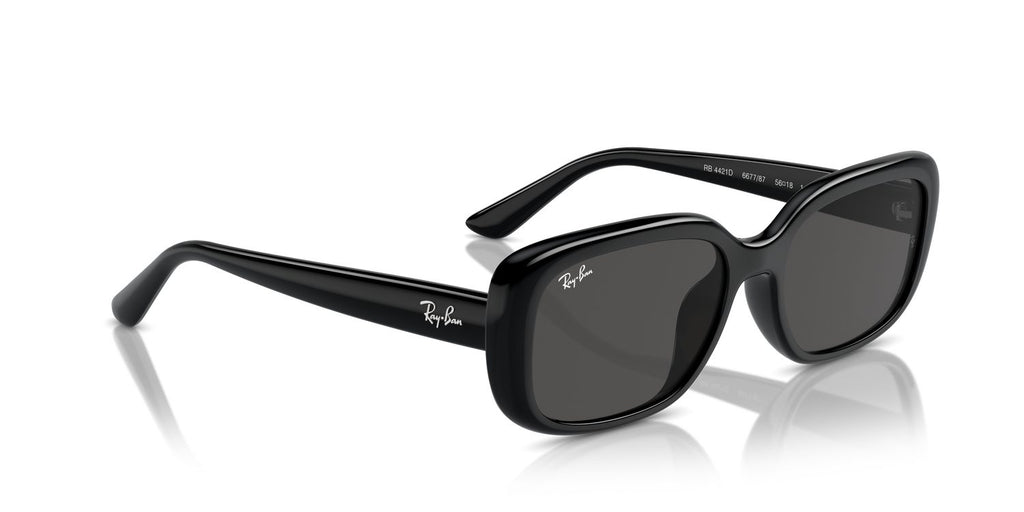Ray-Ban | 0RB4421D