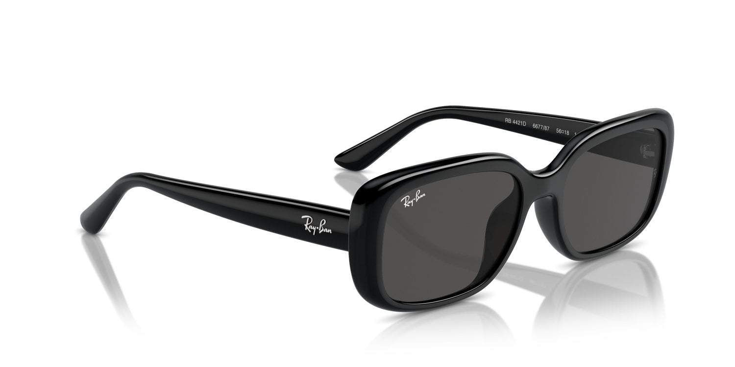 Ray-Ban | 0RB4421D