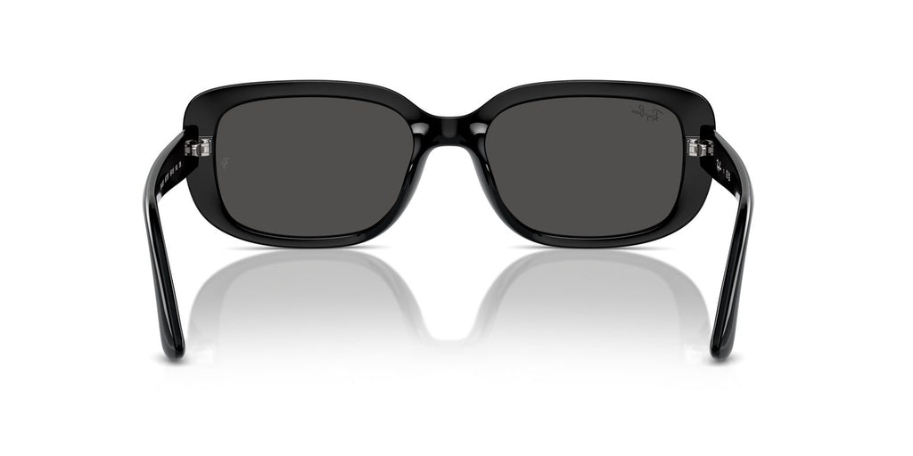 Ray-Ban | 0RB4421D