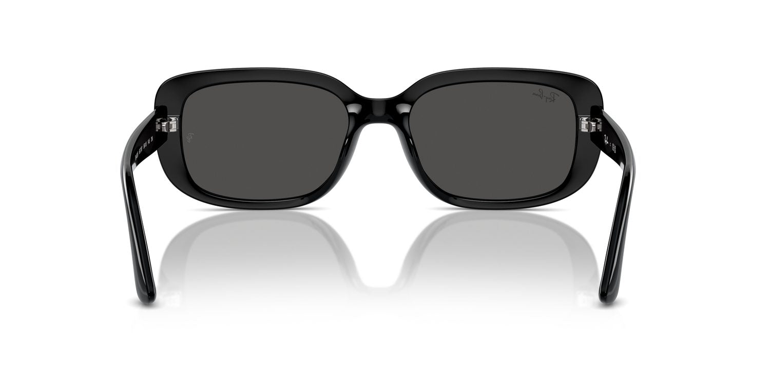 Ray-Ban | 0RB4421D