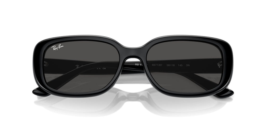 Ray-Ban | 0RB4421D