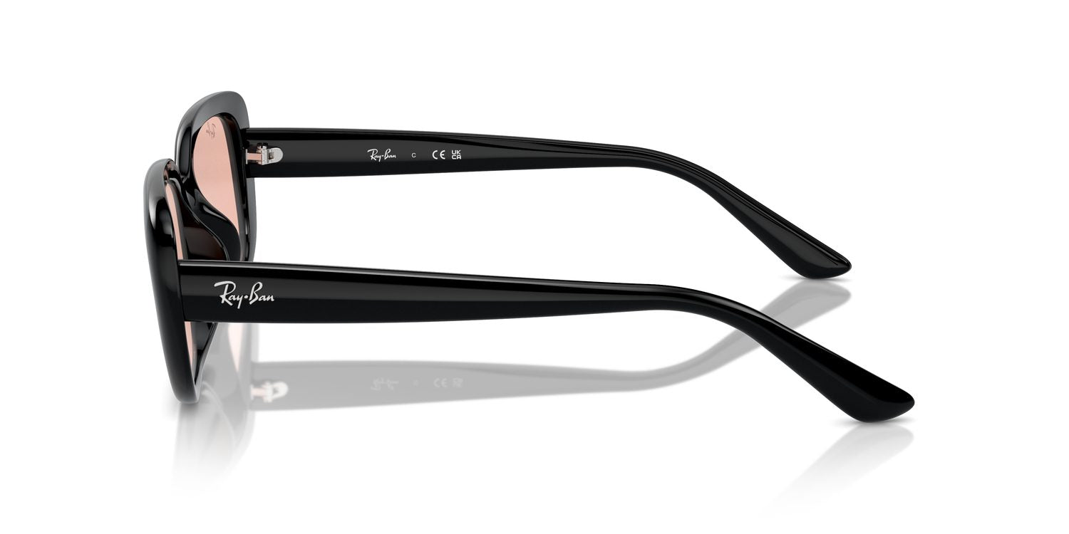 Ray-Ban | 0RB4421D