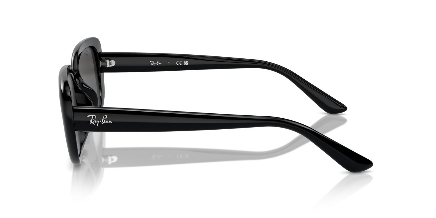 Ray-Ban | 0RB4421D